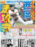 Nikkan Sports
